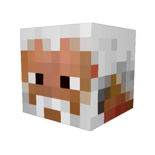 sjenkies Minecraft avatar head, 3D render