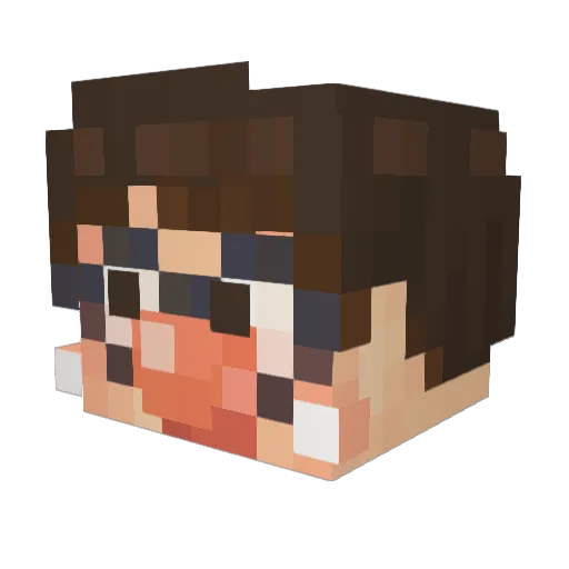 sjeyfht Minecraft avatar head, 3D render