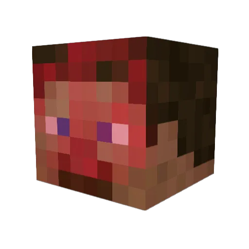 sjijshd Minecraft avatar head, 3D render