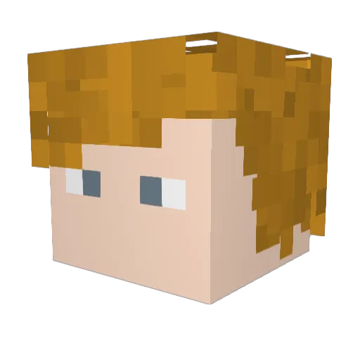 sjonsua Minecraft avatar head, 3D render