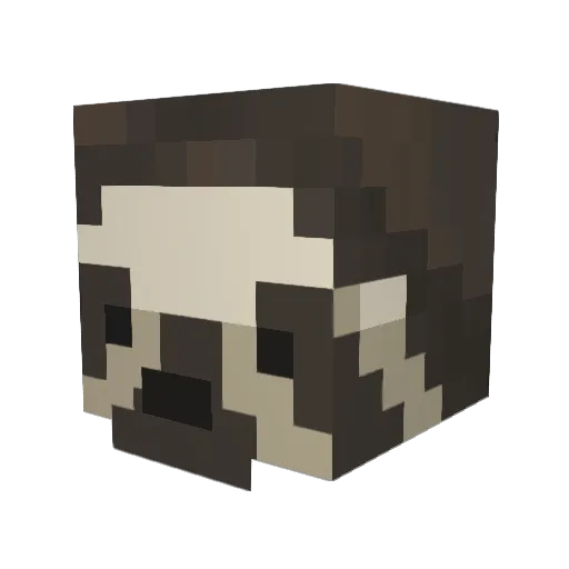sjoth Minecraft avatar head, 3D render