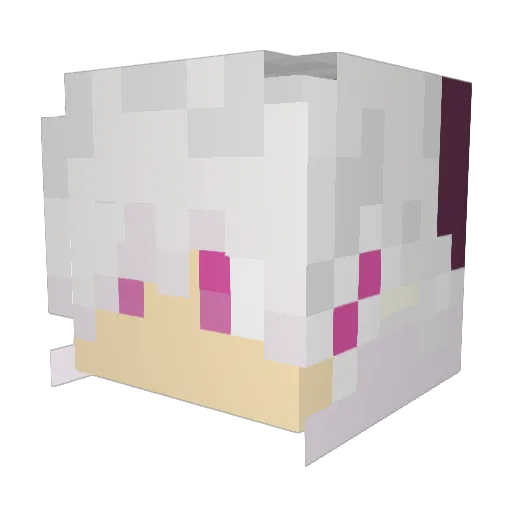 sjowo Minecraft avatar head, 3D render