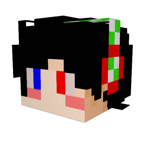 sjpark3446 Minecraft avatar head, 3D render