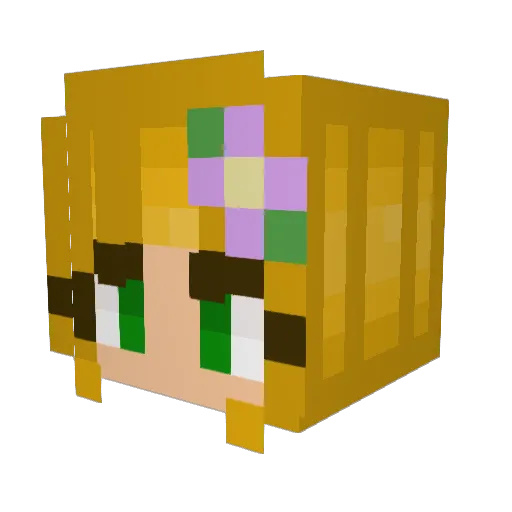 sjshark17 Minecraft avatar head, 3D render