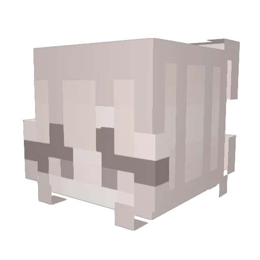sjsjsjs Minecraft avatar head, 3D render