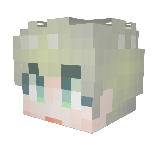 sjtomi Minecraft avatar head, 3D render