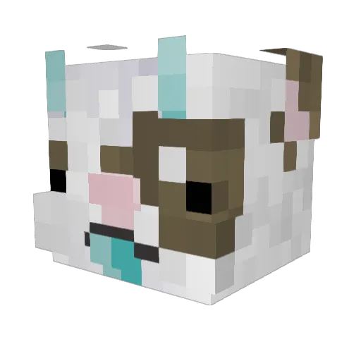 sjugi Minecraft avatar head, 3D render