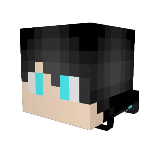 sjwild21 Minecraft avatar head, 3D render