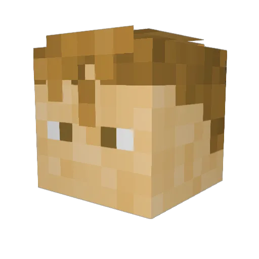 sk00terankle420 Minecraft avatar head, 3D render