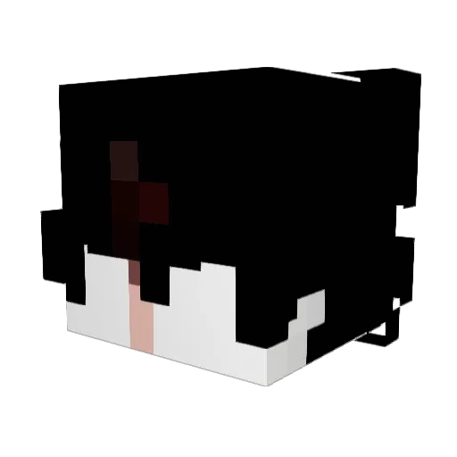 sk1ups Minecraft avatar head, 3D render