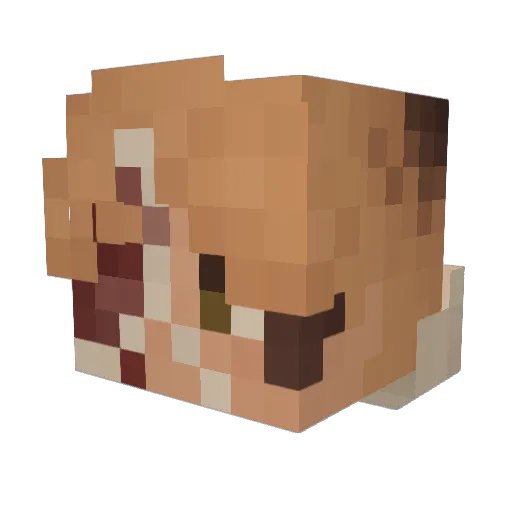 sk3tchii Minecraft avatar head, 3D render