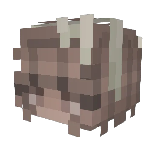 sk6iy Minecraft avatar head, 3D render