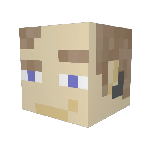 sk8dog25 Minecraft avatar head, 3D render