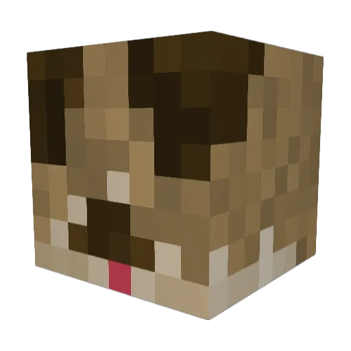 sk8dogg Minecraft avatar head, 3D render