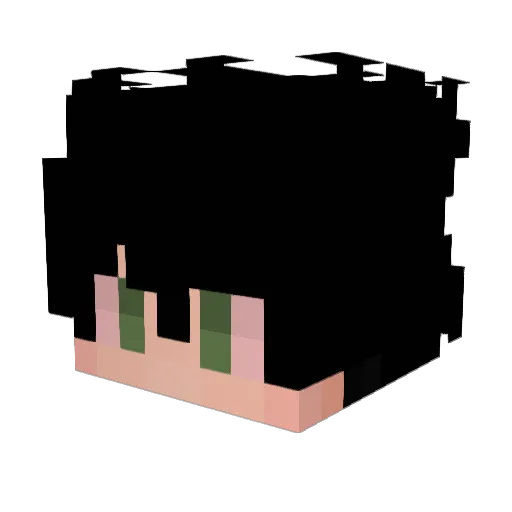 sk8e Minecraft avatar head, 3D render