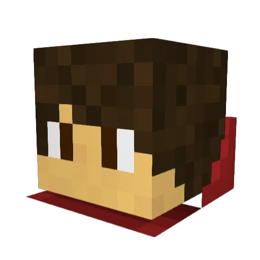 sk8erdude253 Minecraft avatar head, 3D render