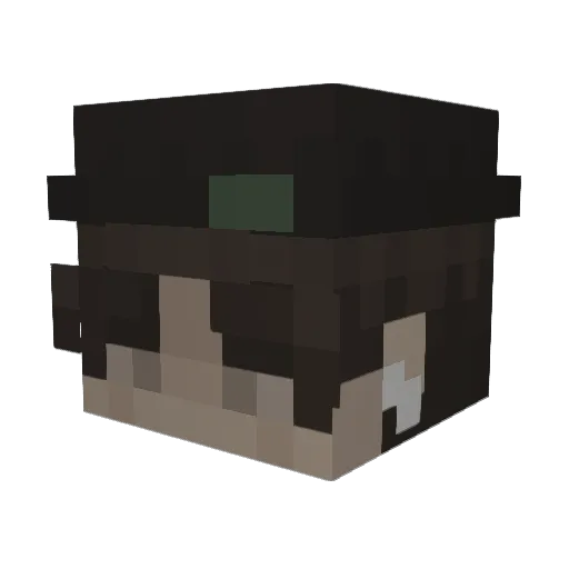 sk8ord1e Minecraft avatar head, 3D render
