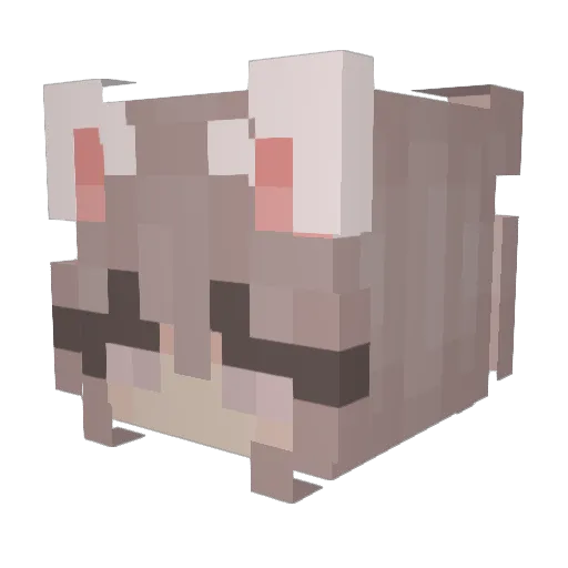 sk8s Minecraft avatar head, 3D render