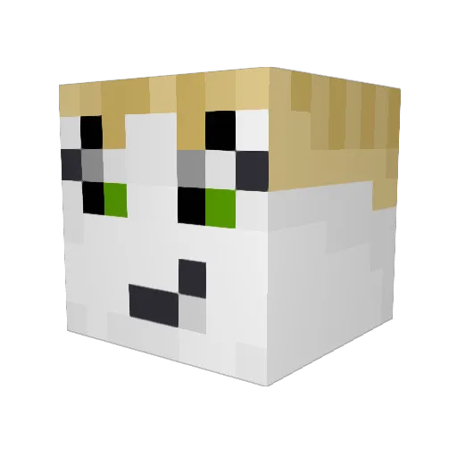 sk8tehell Minecraft avatar head, 3D render