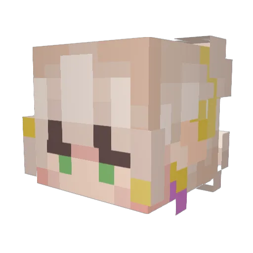 sk8tepark_ Minecraft avatar head, 3D render