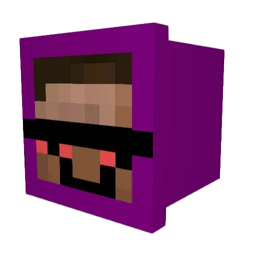 skRayFall Minecraft avatar head, 3D render