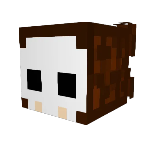 skabety Minecraft avatar head, 3D render