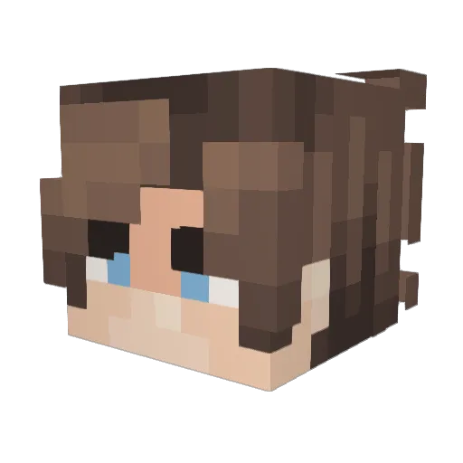 skaiaht Minecraft avatar head, 3D render