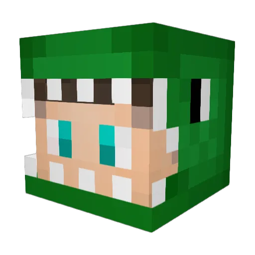 skakwk123 Minecraft avatar head, 3D render