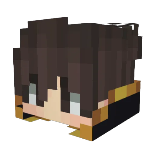 skarndals9867 Minecraft avatar head, 3D render
