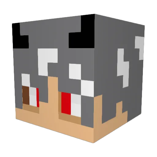 skasyap Minecraft avatar head, 3D render