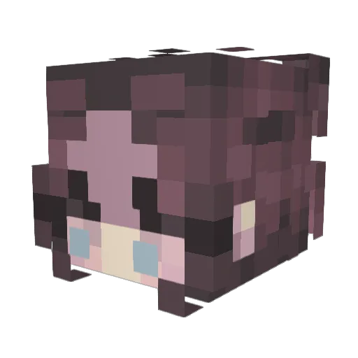 skate2hell Minecraft avatar head, 3D render