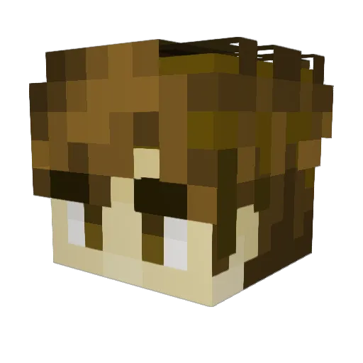 skate__ Minecraft avatar head, 3D render
