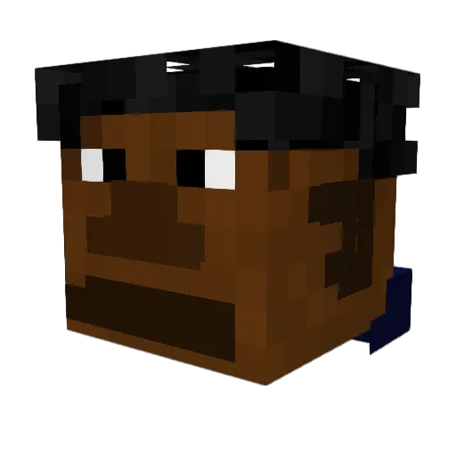 skateboardpp Minecraft avatar head, 3D render