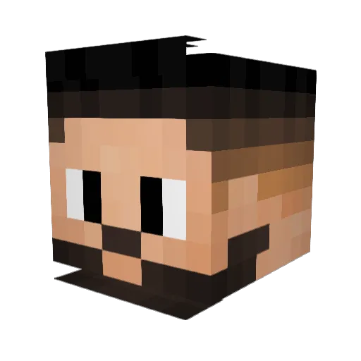 skateboy1113 Minecraft avatar head, 3D render