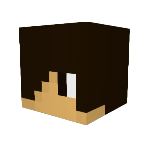 skater57 Minecraft avatar head, 3D render