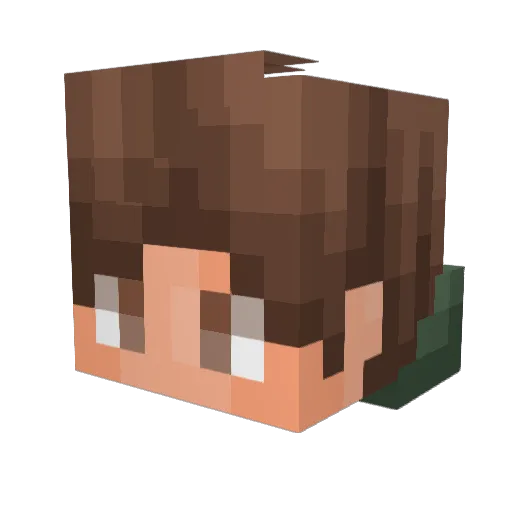 skaterboy183 Minecraft avatar head, 3D render