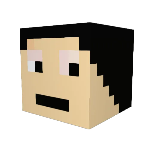 skaterlogan Minecraft avatar head, 3D render
