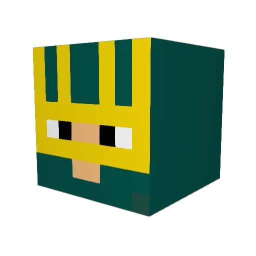 skatersquirrel87 Minecraft avatar head, 3D render