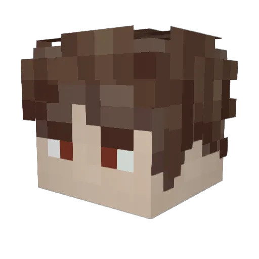 skatingtiger Minecraft avatar head, 3D render