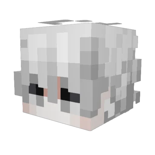 skay1337 Minecraft avatar head, 3D render