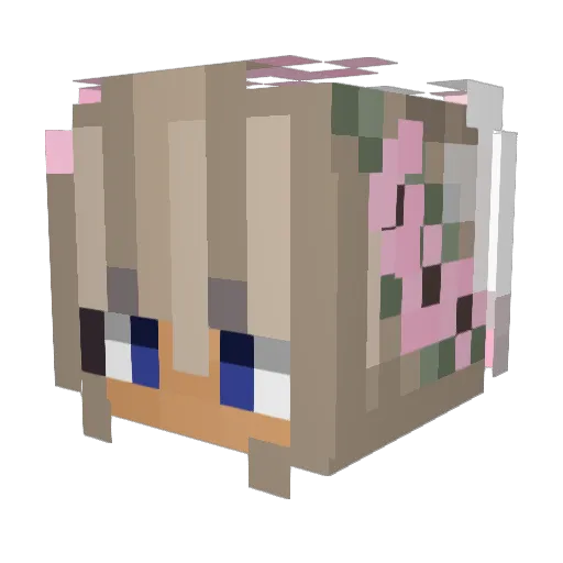 skayrooane Minecraft avatar head, 3D render