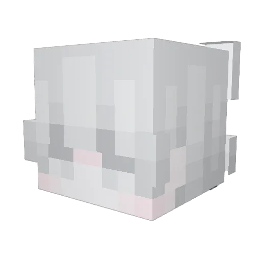 skbsnic Minecraft avatar head, 3D render