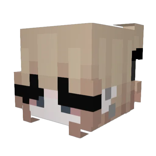 skeathr Minecraft avatar head, 3D render