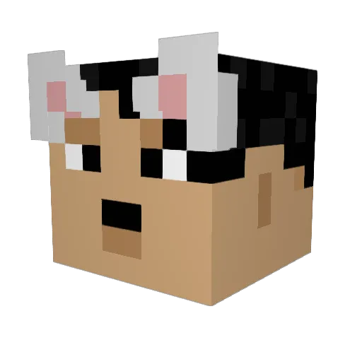 skebob_14 Minecraft avatar head, 3D render
