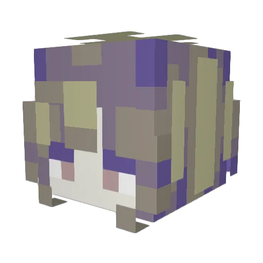 skedead Minecraft avatar head, 3D render