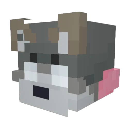 skeebOwO Minecraft avatar head, 3D render