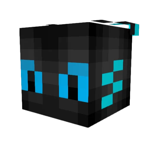 skeeterbeee Minecraft avatar head, 3D render