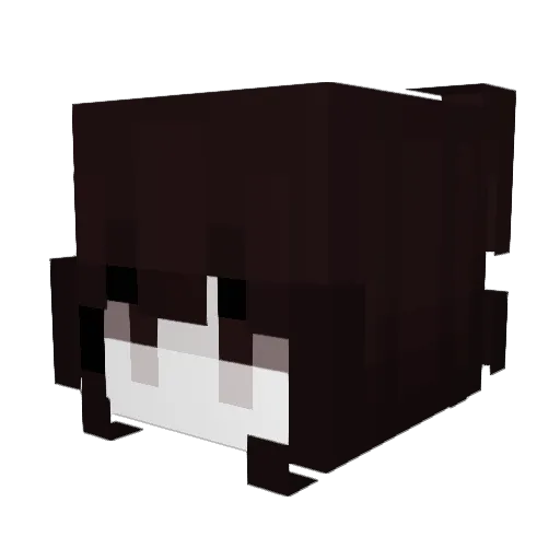 skeety Minecraft avatar head, 3D render