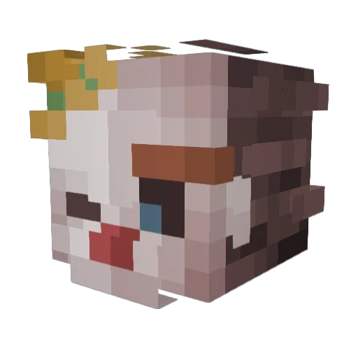 skelebobo649_ Minecraft avatar head, 3D render