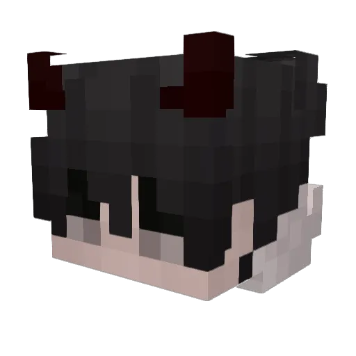 skeleroo Minecraft avatar head, 3D render